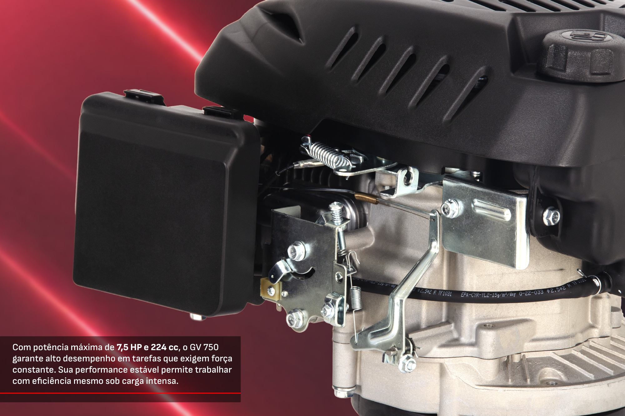 CCM do Brasil - Cód. 5600662